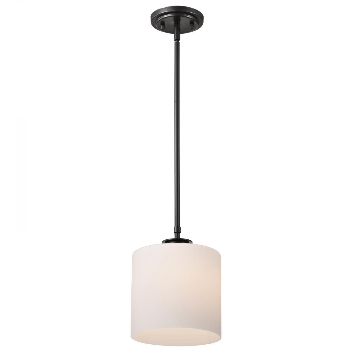 Warren 10" Pendant Light, Gun Metal Finish - Bees Lighting