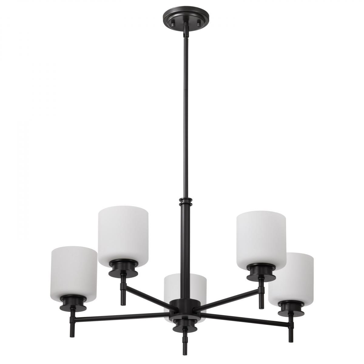 Warren 28" 5 Lights Chandelier, Gun Metal Finish - Bees Lighting