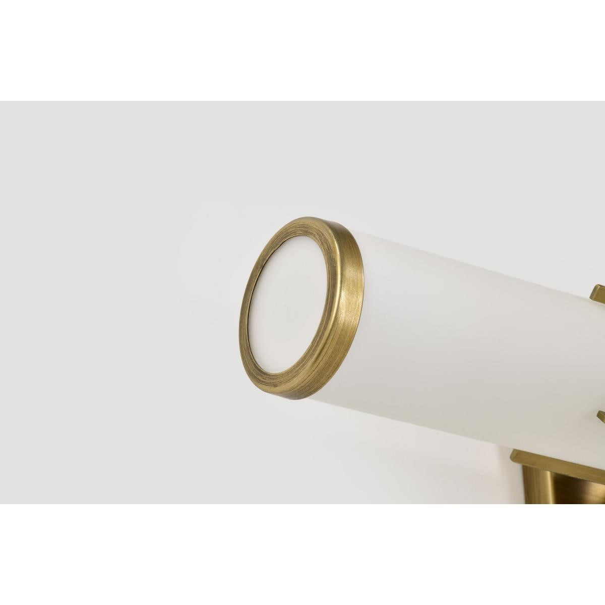 Roselle 24" Bathroom Vanity Light, Natural Brass Finish - Bees Lighting