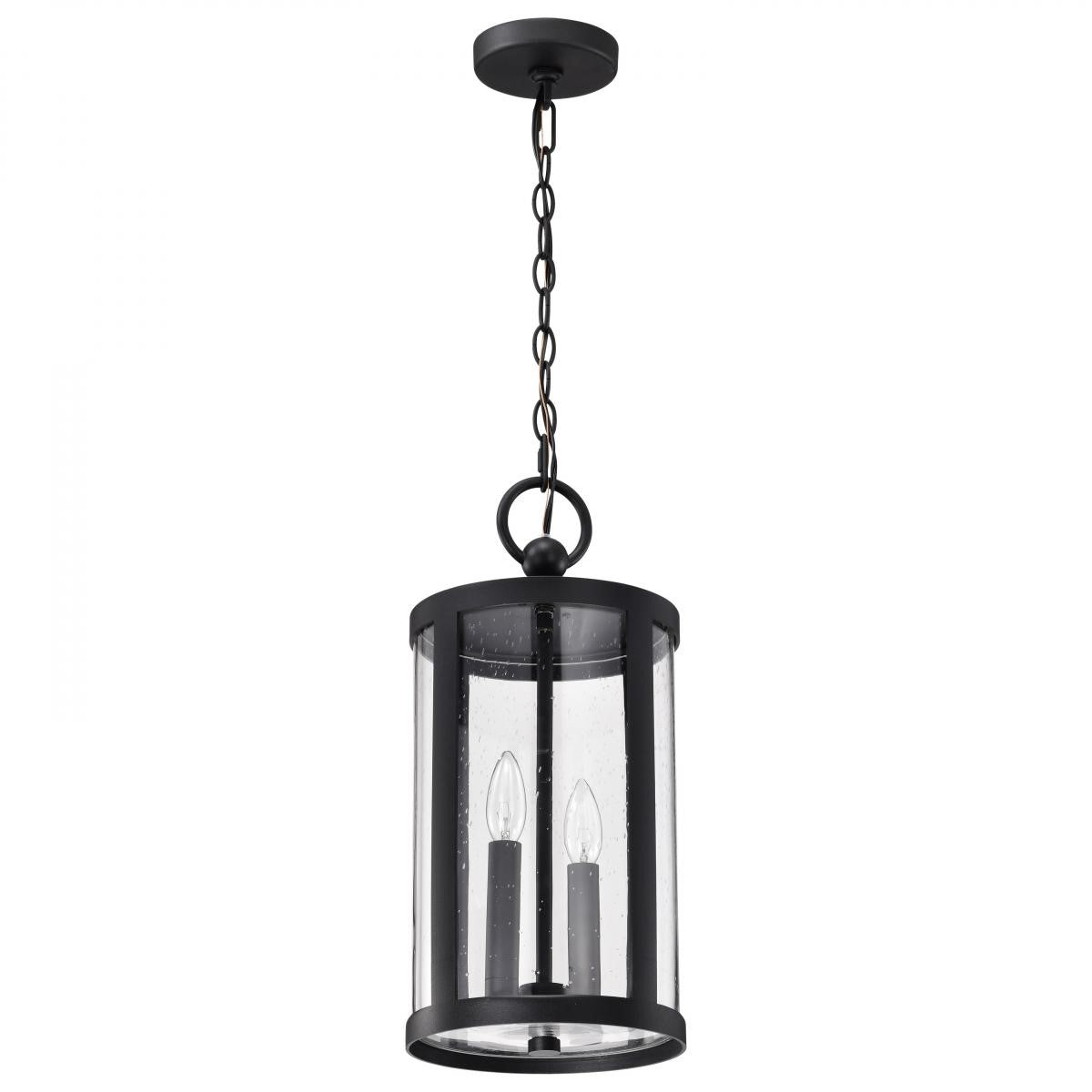 Broadstone 19" 2 Lights Outdoor Hanging Light, Matte Black Finish - Bees Lighting