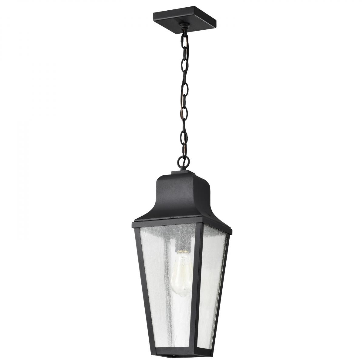 Lawrence 20" Outdoor Hanging Light, Matte Black Finish - Bees Lighting