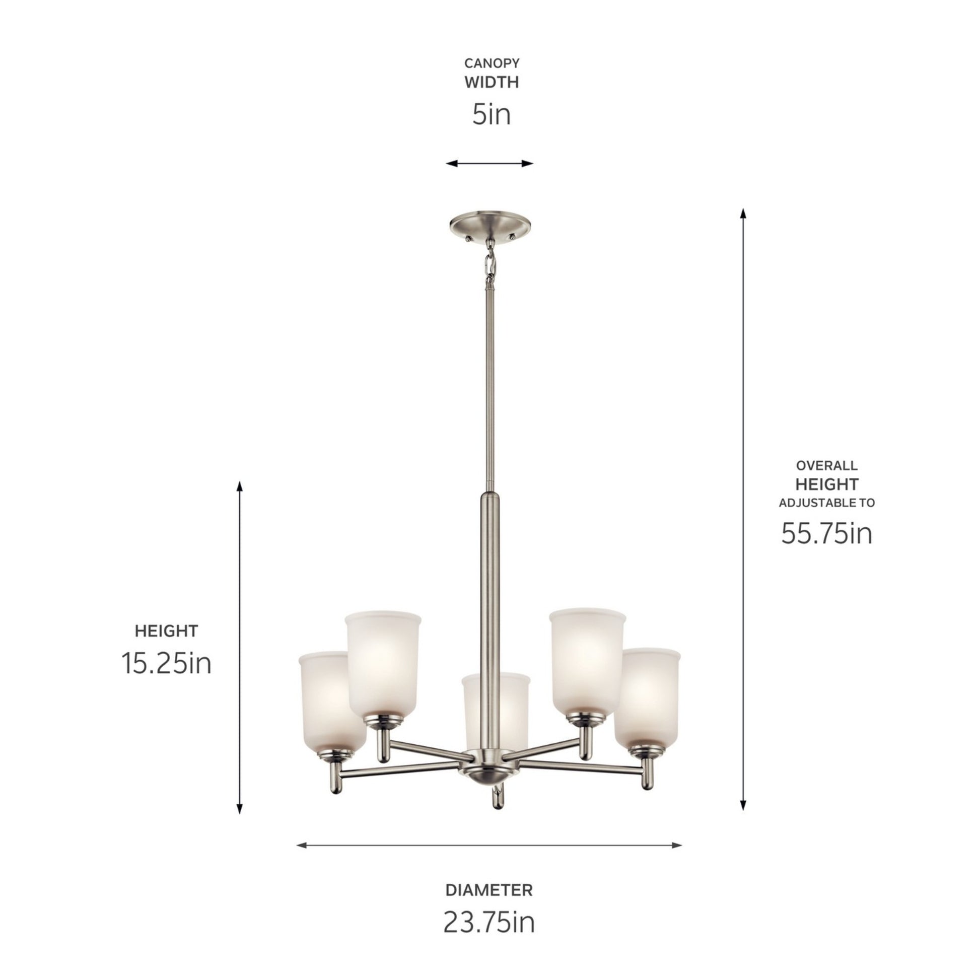 Shailene 24" 5-Light Chandelier, Brushed Nickel Finish, Etched Glass - Bees Lighting