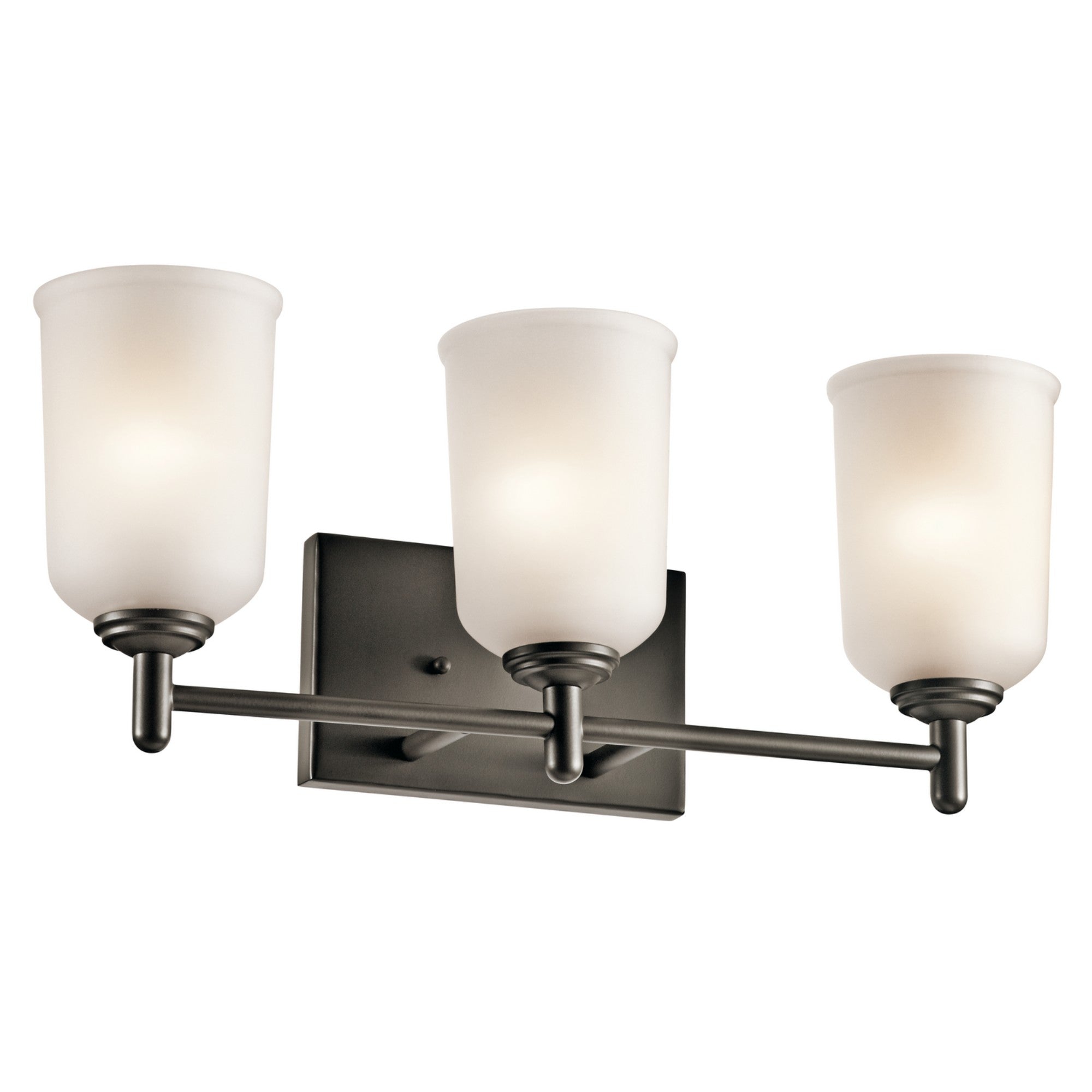 Shailene 21" 3-Light Bath Vanity Light, Olde Bronze Finish, Etched Glass - Bees Lighting