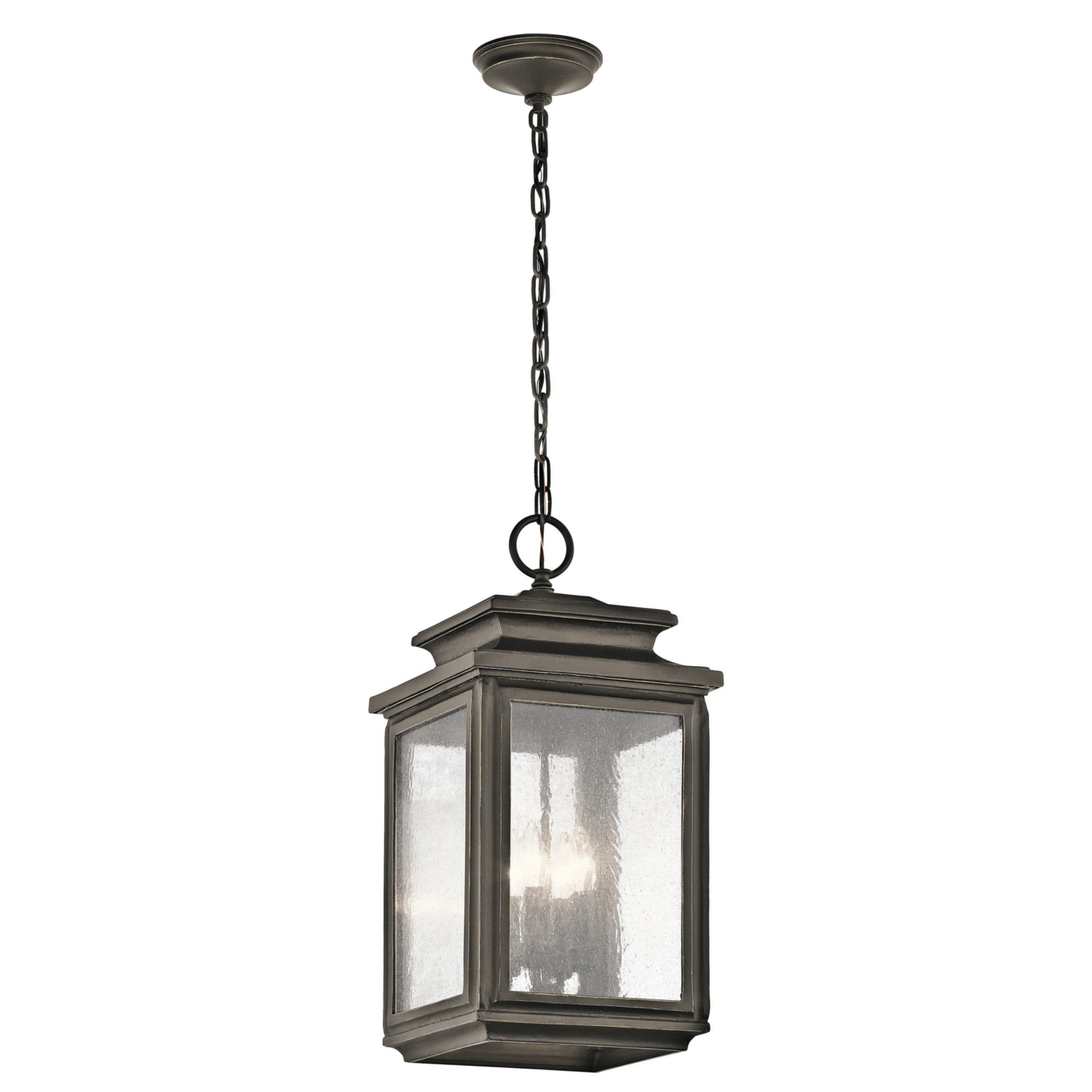 Wiscombe Park 23 In. 4 Lights Outdoor Hanging Lantern - Bees Lighting