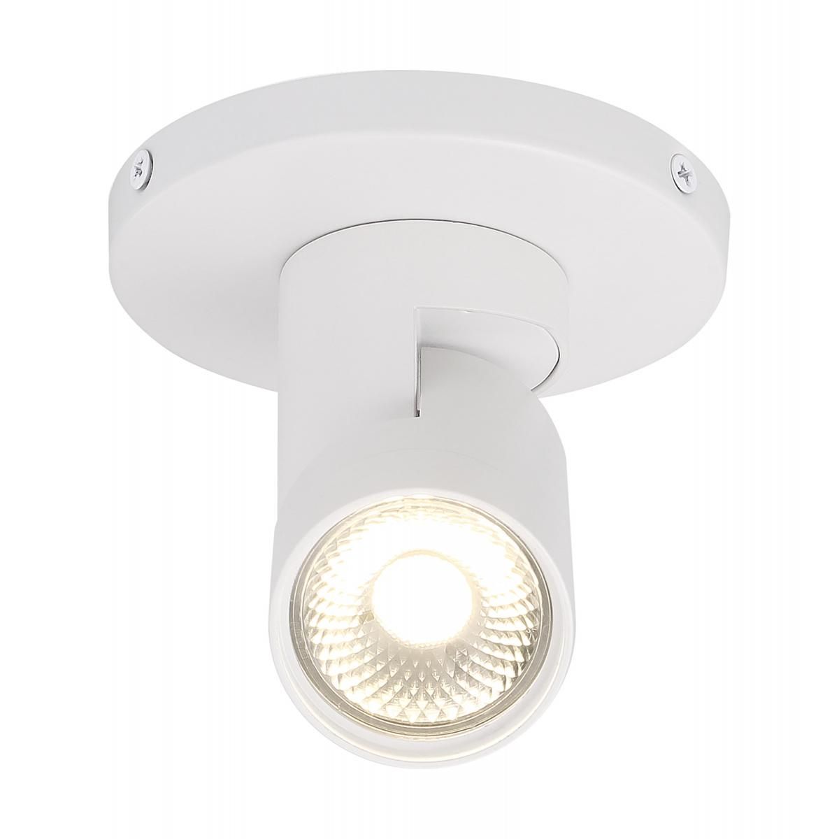 LED Barrel Monopoint Head 12W 3000K 1000 Lumens, 36° - Bees Lighting