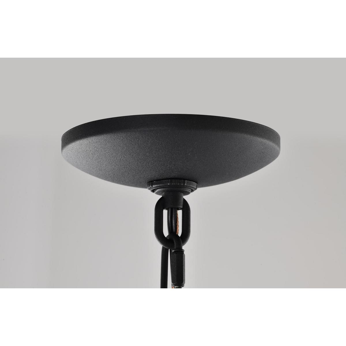 East River Starfish 15" Smart LED Outdoor Hanging Light, RGBTW, Matte Black Finish - Bees Lighting