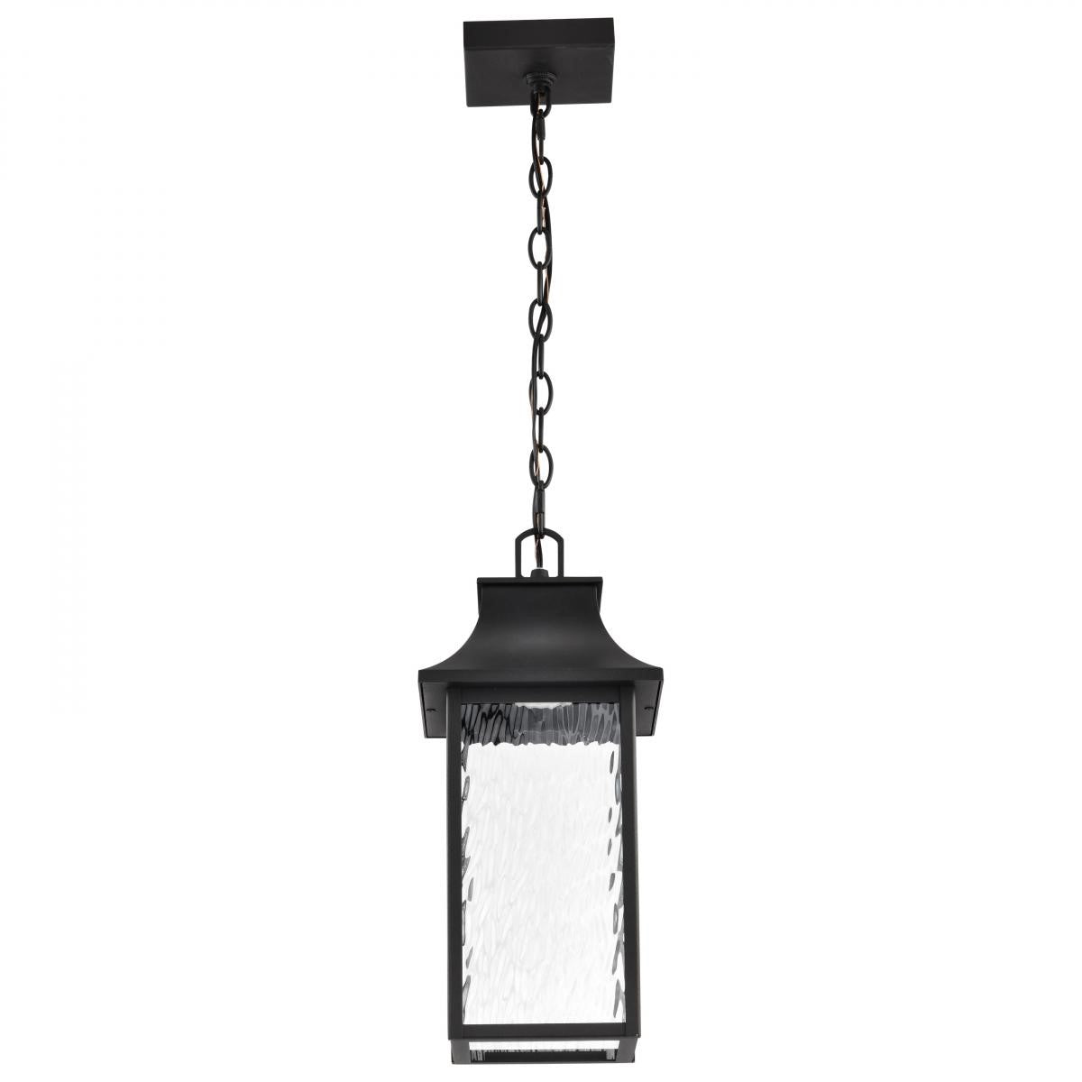 Austen Starfish 17" Smart LED Outdoor Hanging Light, RGBTW, Matte Black Finish - Bees Lighting