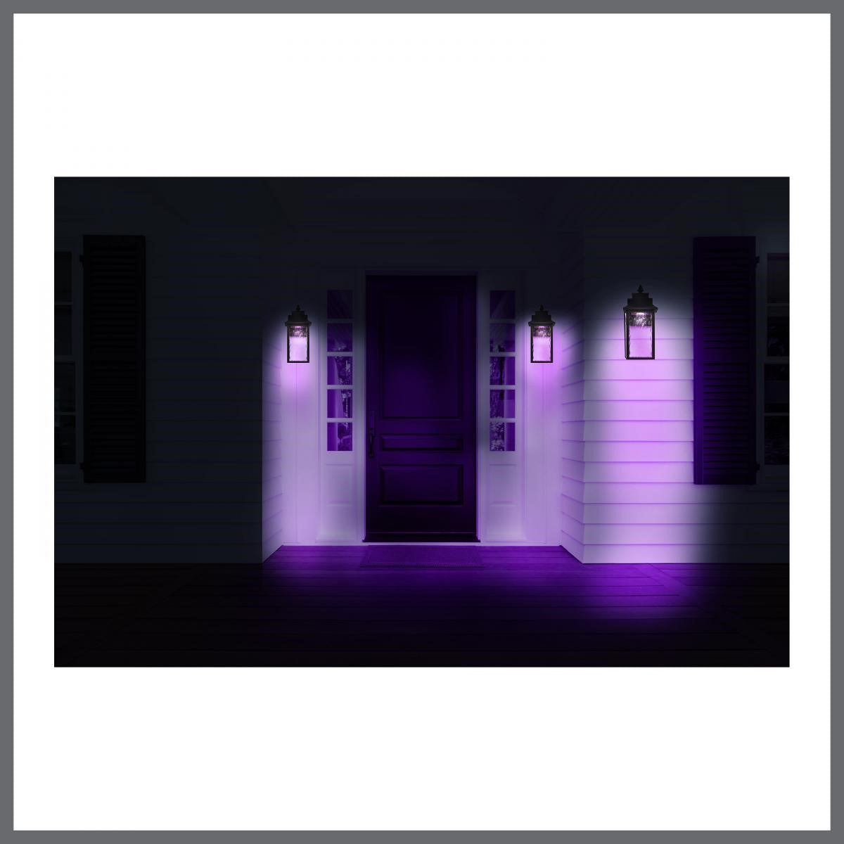 Austen 13" Smart LED Outdoor Wall Light, RGBTW, Matte Black Finish - Bees Lighting