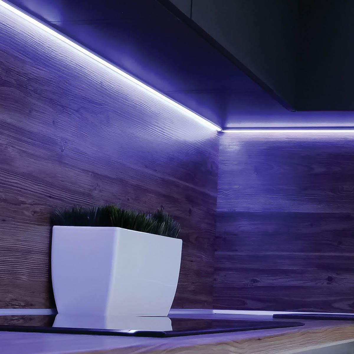 Dimension Plus LED Smart Tape Light Kit, RGBTW - Bees Lighting