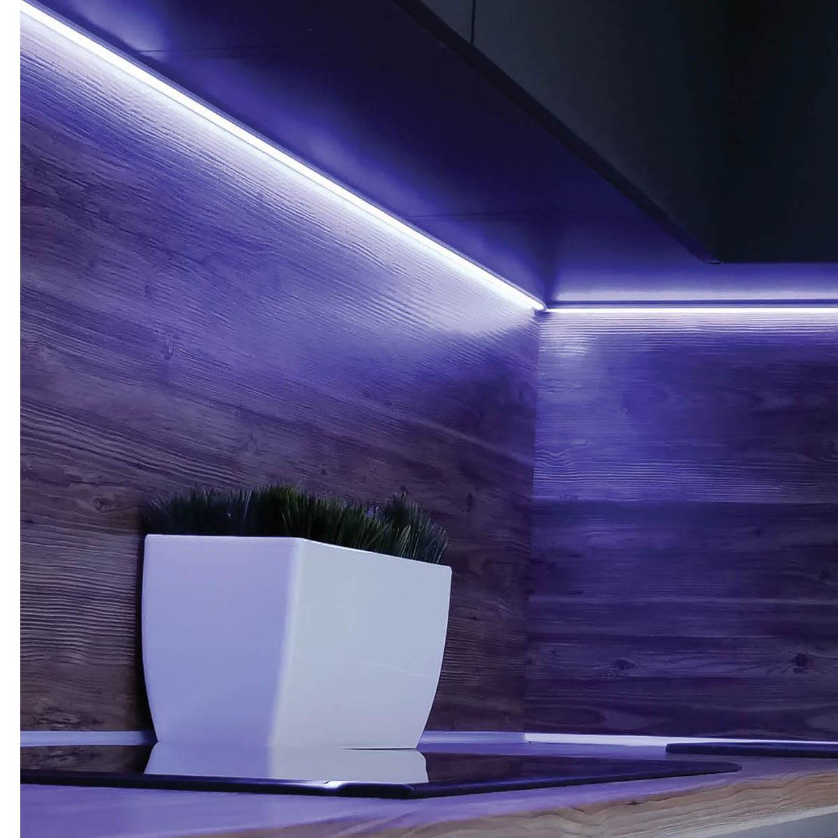 Dimension Pro Indoor LED Smart Tape Light Kit, RGB+TW - Bees Lighting