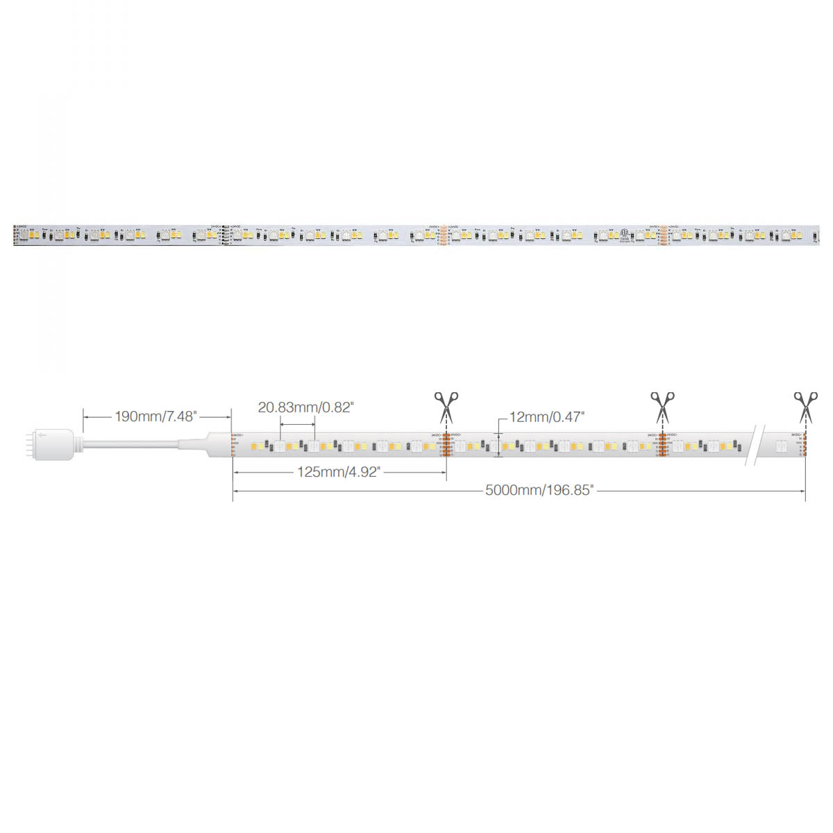 Dimension Pro LED Smart Tape Light Kit with Remote, 16ft Reel, Color Changing RGB and Tunable White, 24V, J-Box Connection - Bees Lighting