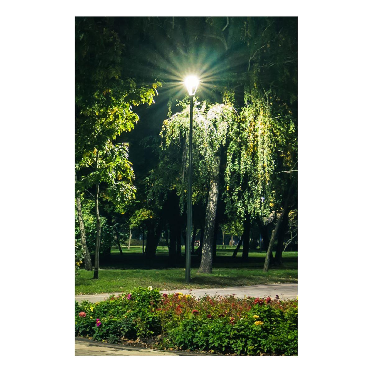 LED Post Top Area Light, 35W, 4400 Lumens, 30K/40K/50K, 120-347V - Bees Lighting