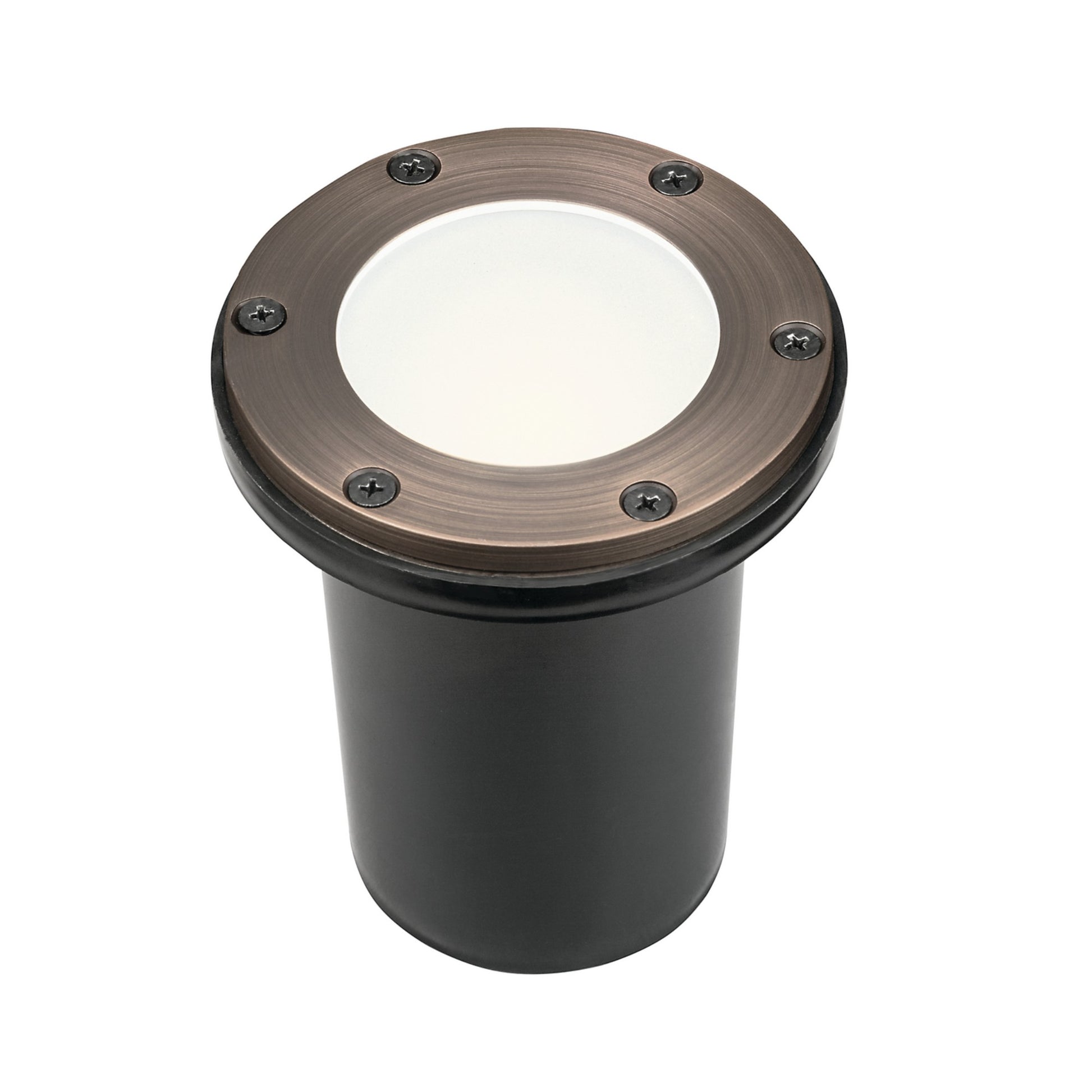 12V Landscape In-Ground Light Brass - Bees Lighting