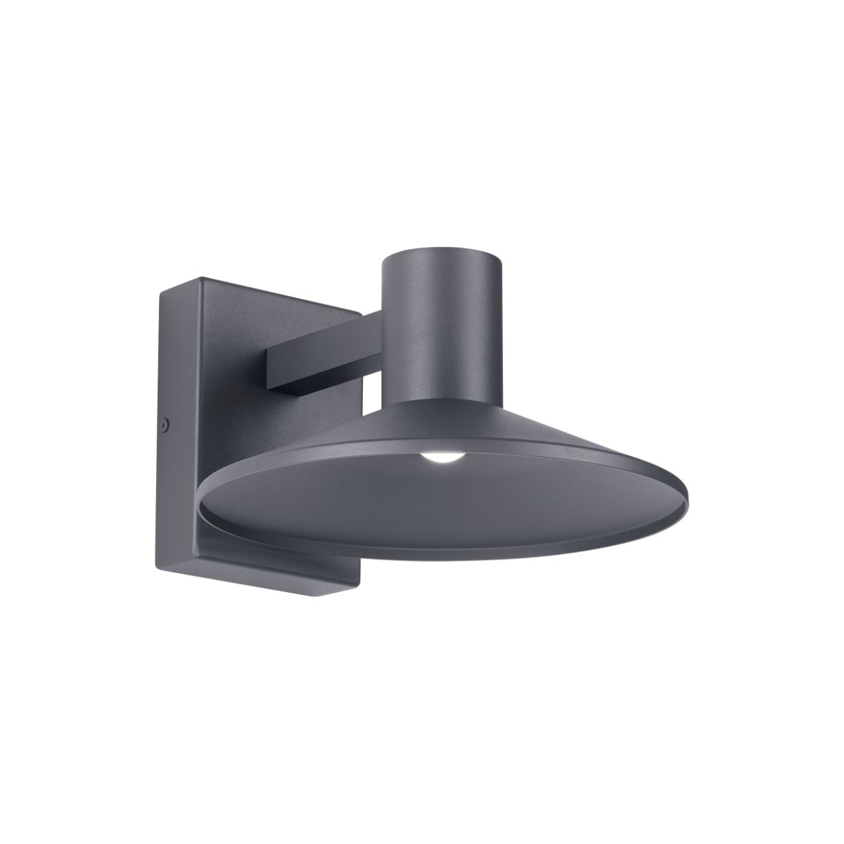 Ash Outdoor Wall Sconce with Clear Lens - Bees Lighting