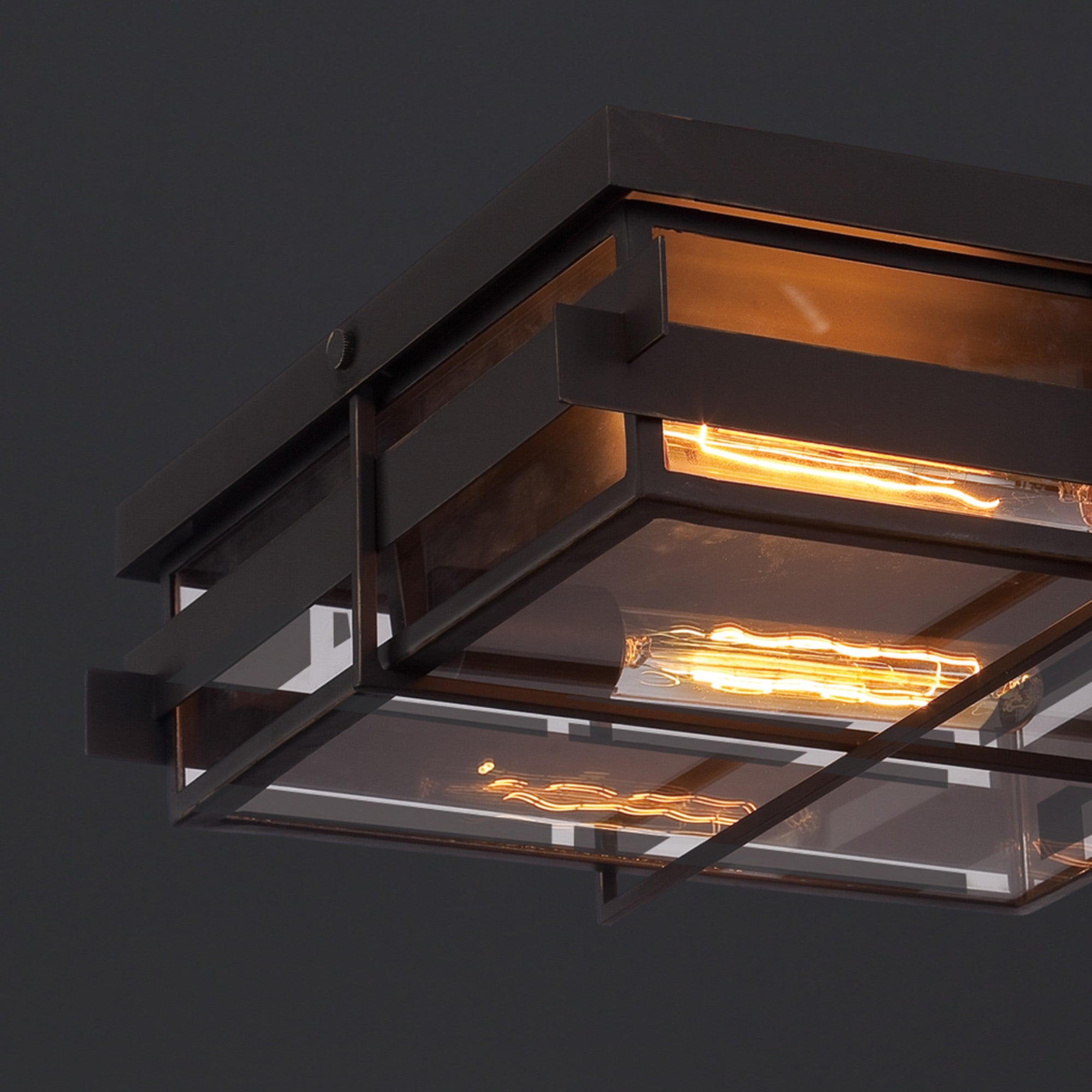 Muller 2-Light 14" Outdoor Flush Mount, Black Finish - Bees Lighting