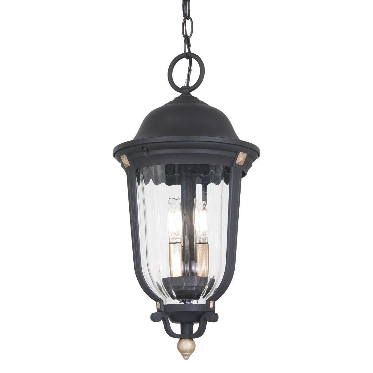 Peale Street Outdoor Hanging Lantern - Bees Lighting