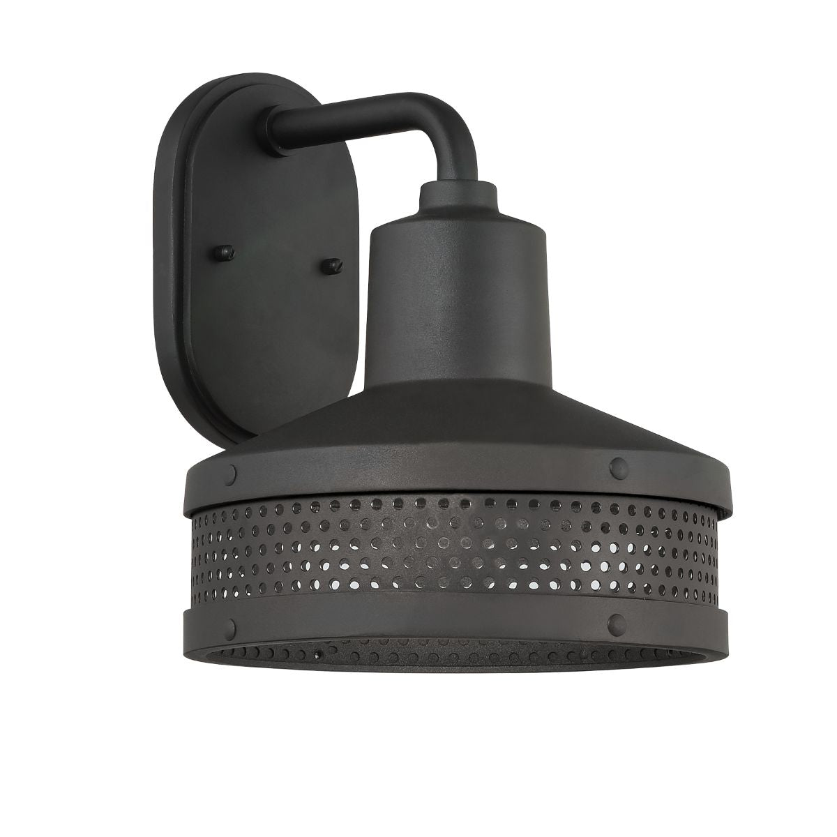Abalone Point 11 In. Outdoor Barn Light Black Finish
