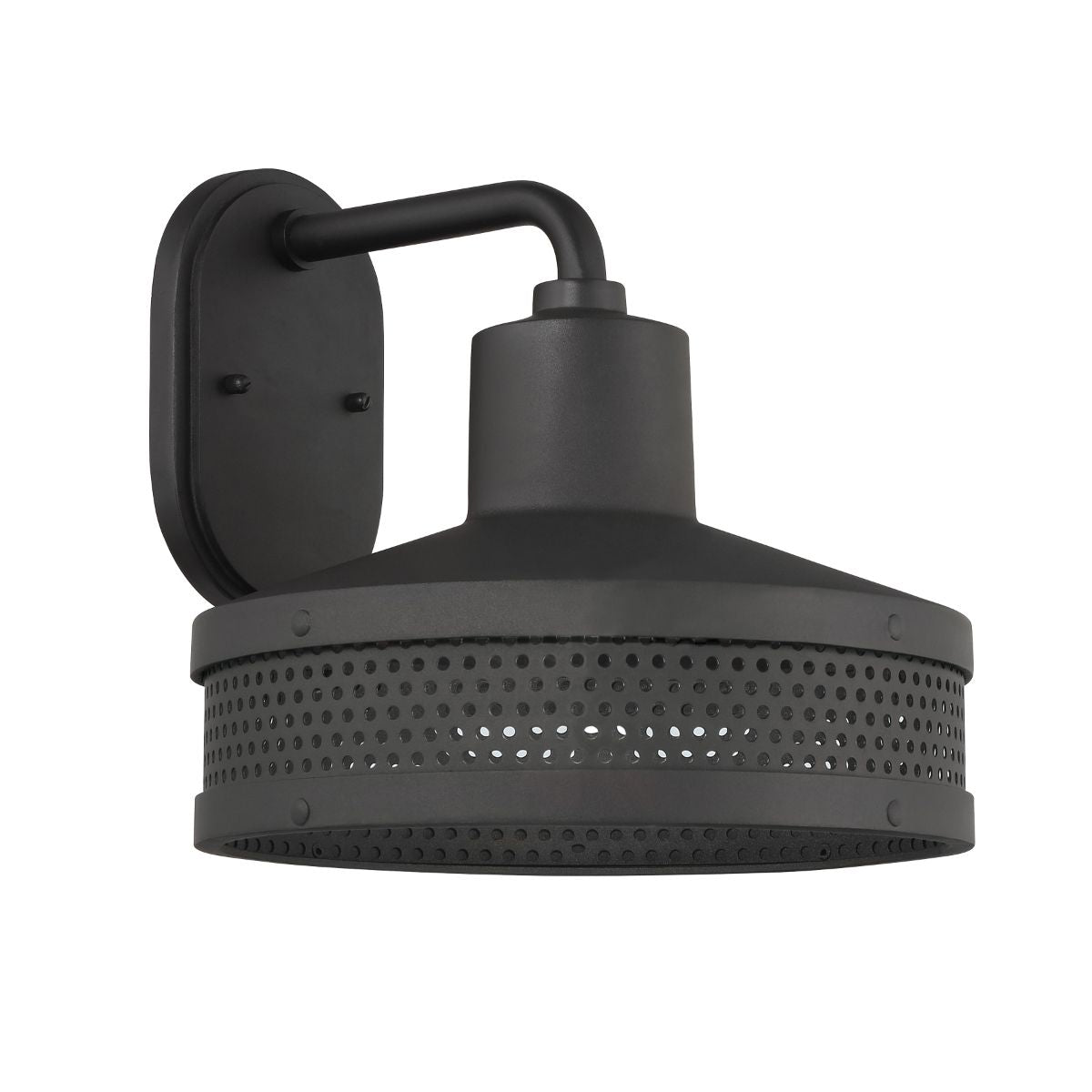 Abalone Point 12 In. Outdoor Barn Light Black Finish