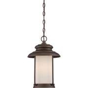 Bethany 16" LED Outdoor Hanging Lantern, Mahogany Bronze Finish - Bees Lighting
