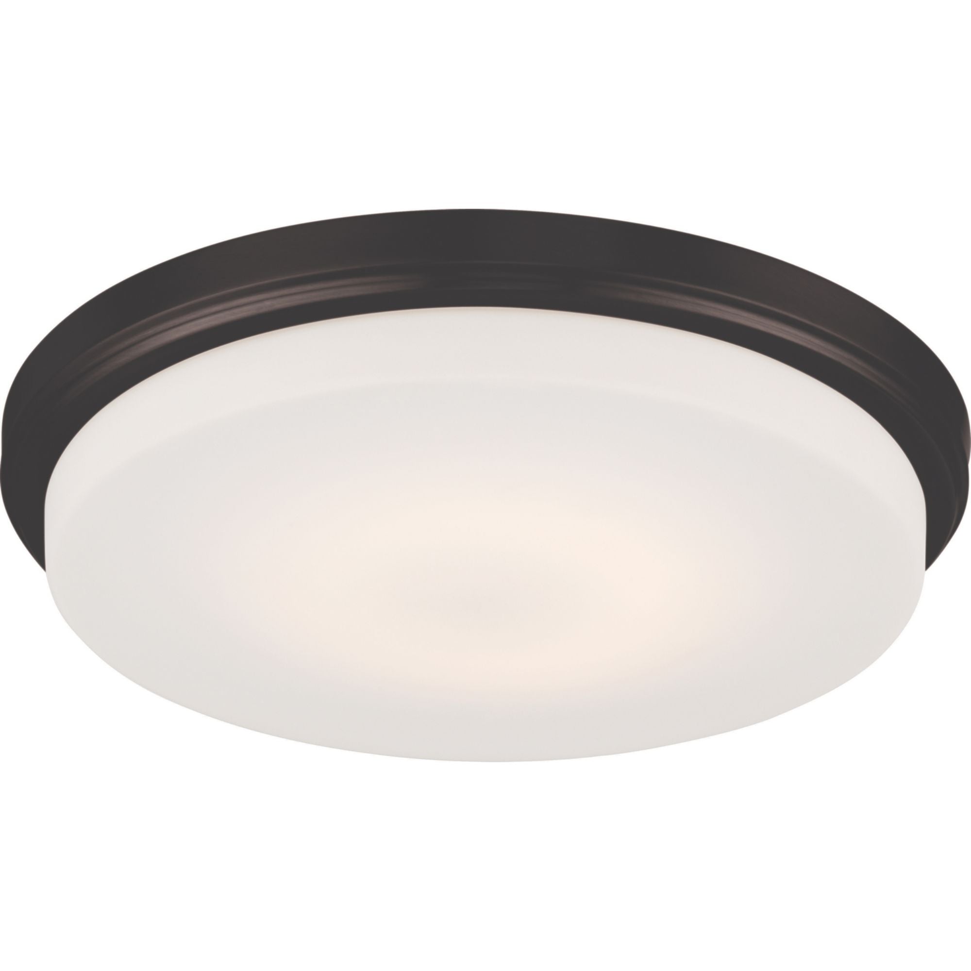 Dale 13 in. LED Flush Mount Light, Opal Frosted Glass - Bees Lighting