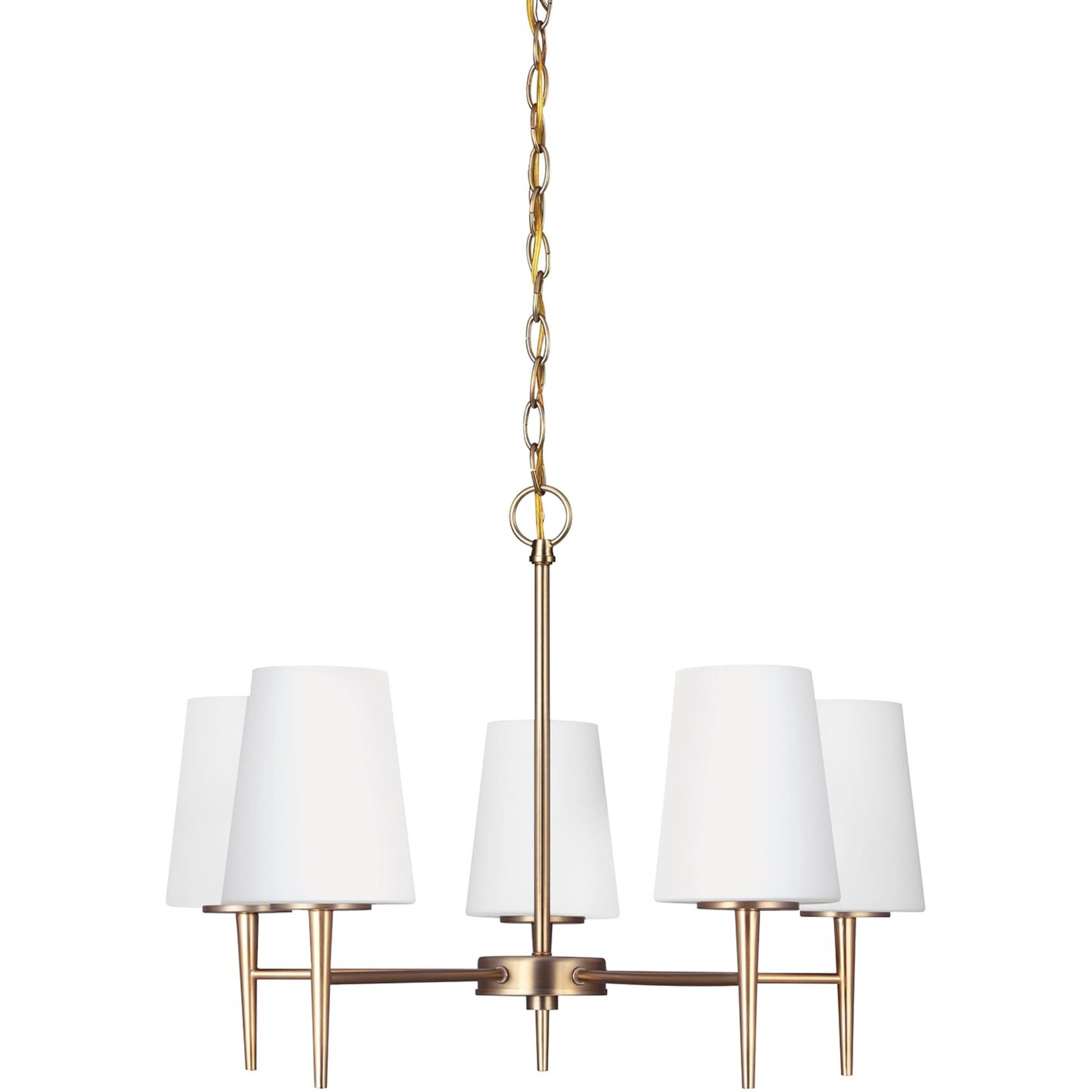Driscoll 25" 5-Light LED Chandelier, Satin Brass Finish - Bees Lighting
