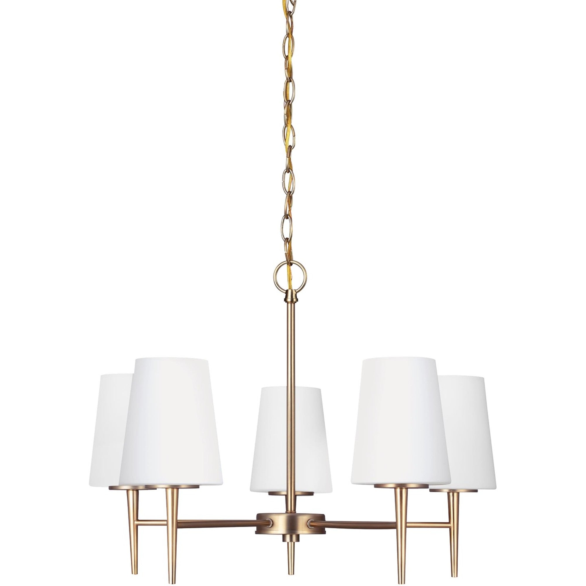 Driscoll 25" 5-Light LED Chandelier, Satin Brass Finish - Bees Lighting