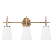 Driscoll 25" 3-Light LED Bathroom Vanity, Satin Brass Finish - Bees Lighting