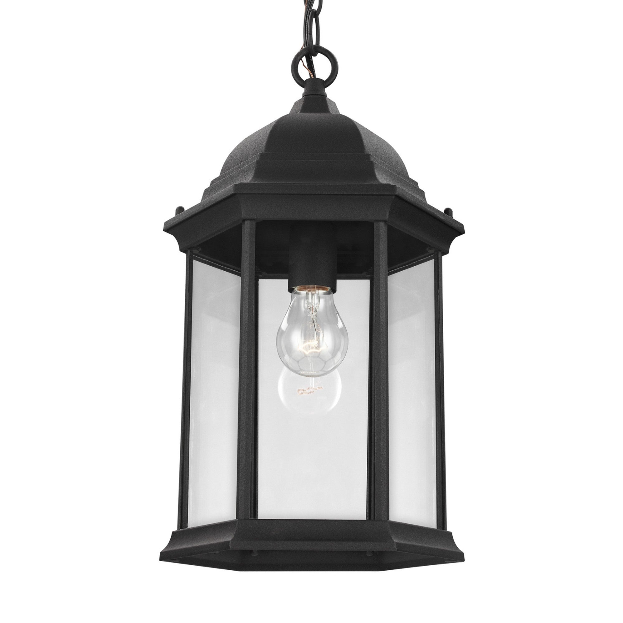 Sevier 17" Outdoor Pendant, Black Finish with Clear Glass - Bees Lighting