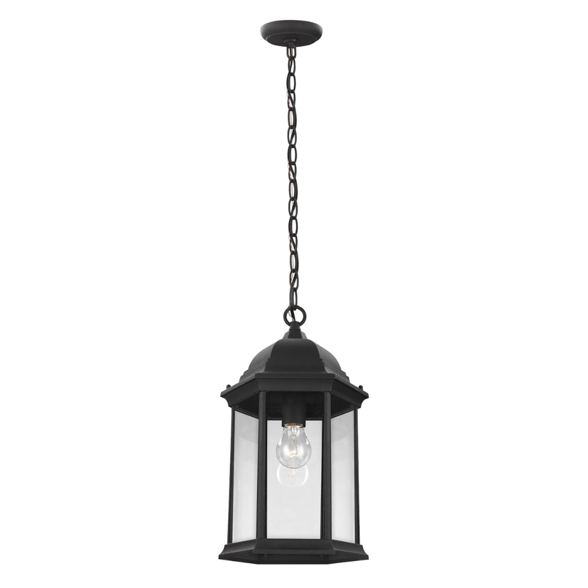 Sevier 17" Outdoor Pendant, Black Finish with Clear Glass - Bees Lighting