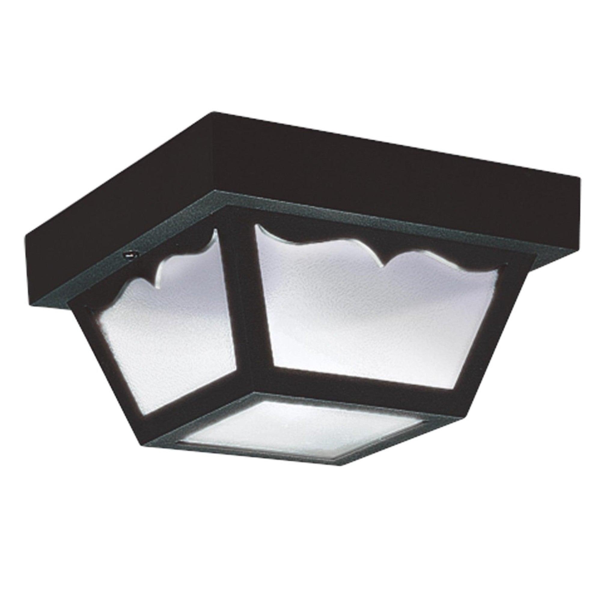 8" LED Outdoor Flush Mount, Black Finish - Bees Lighting
