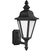 Brentwood 20" Medium Outdoor Wall Lantern, Black Finish - Bees Lighting