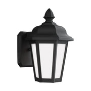 Brentwood 10" Small LED Outdoor Wall Lantern, Black Finish - Bees Lighting