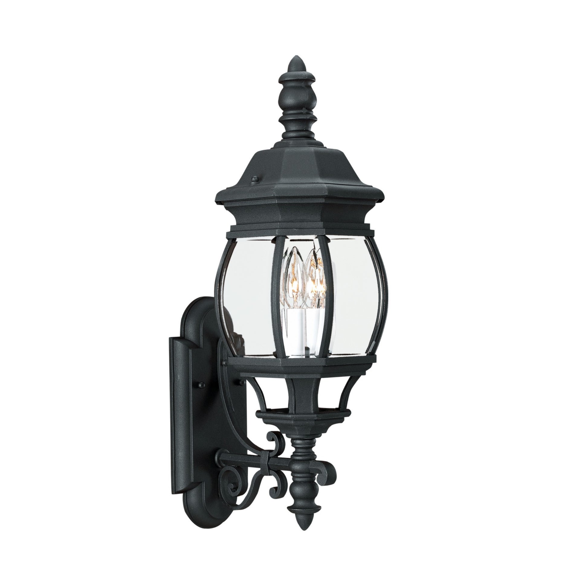Wynfield 24" 2-Light LED Outdoor Wall Lantern, Black Finish with Clear Glass - Bees Lighting