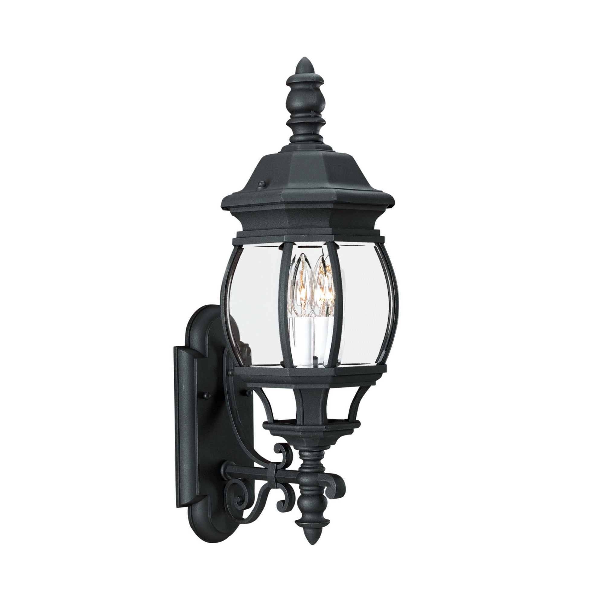 Wynfield 24" 2-Light LED Outdoor Wall Lantern, Black Finish with Clear Glass - Bees Lighting
