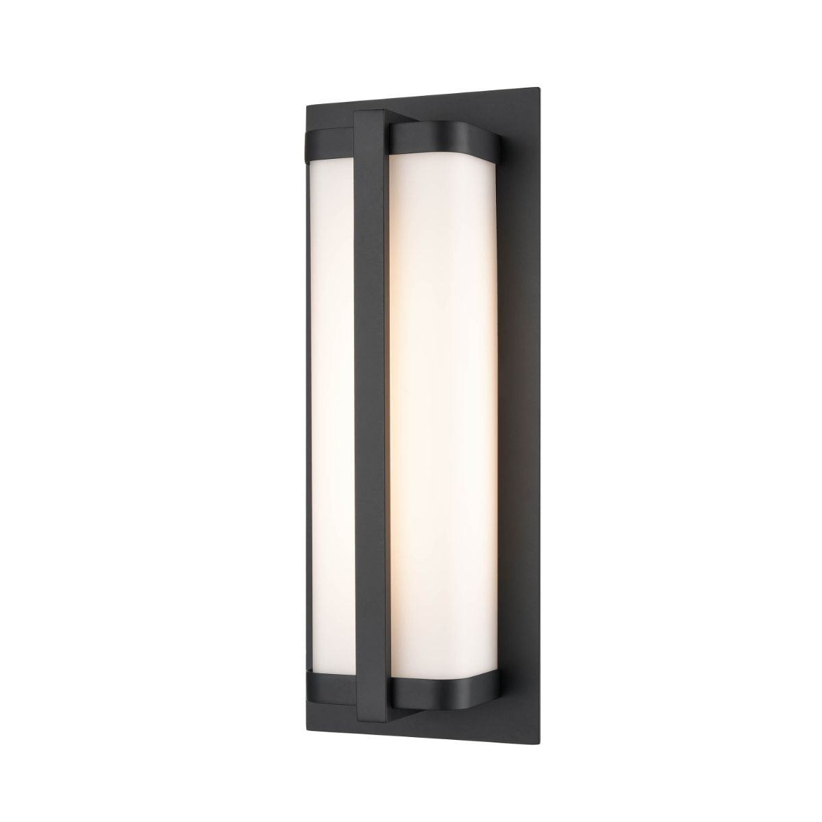 Amster 16 In. LED Outdoor Wall Sconce Black Finish