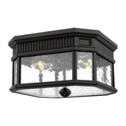 Cotswold Lane 12" 2-Light Flush Mount, Black Finish with Clear Seeded Glass - Bees Lighting