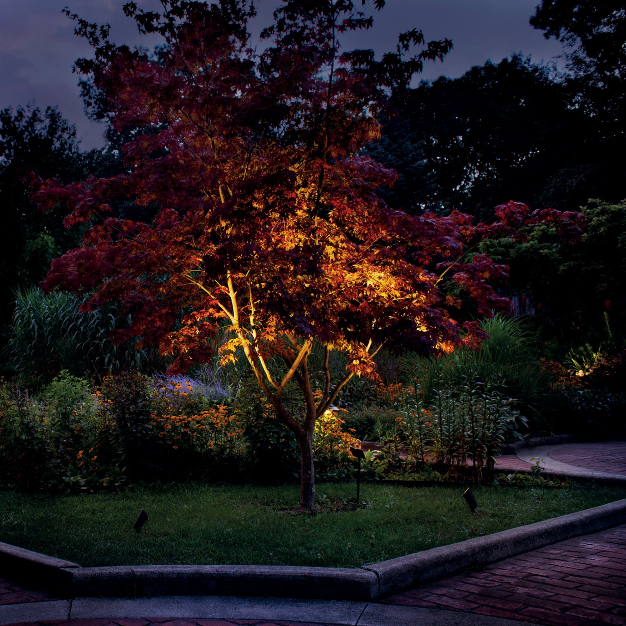 VLO 3000K Small 60 Degree Wide LED Flood Light, Textured Architectural Bronze - Bees Lighting