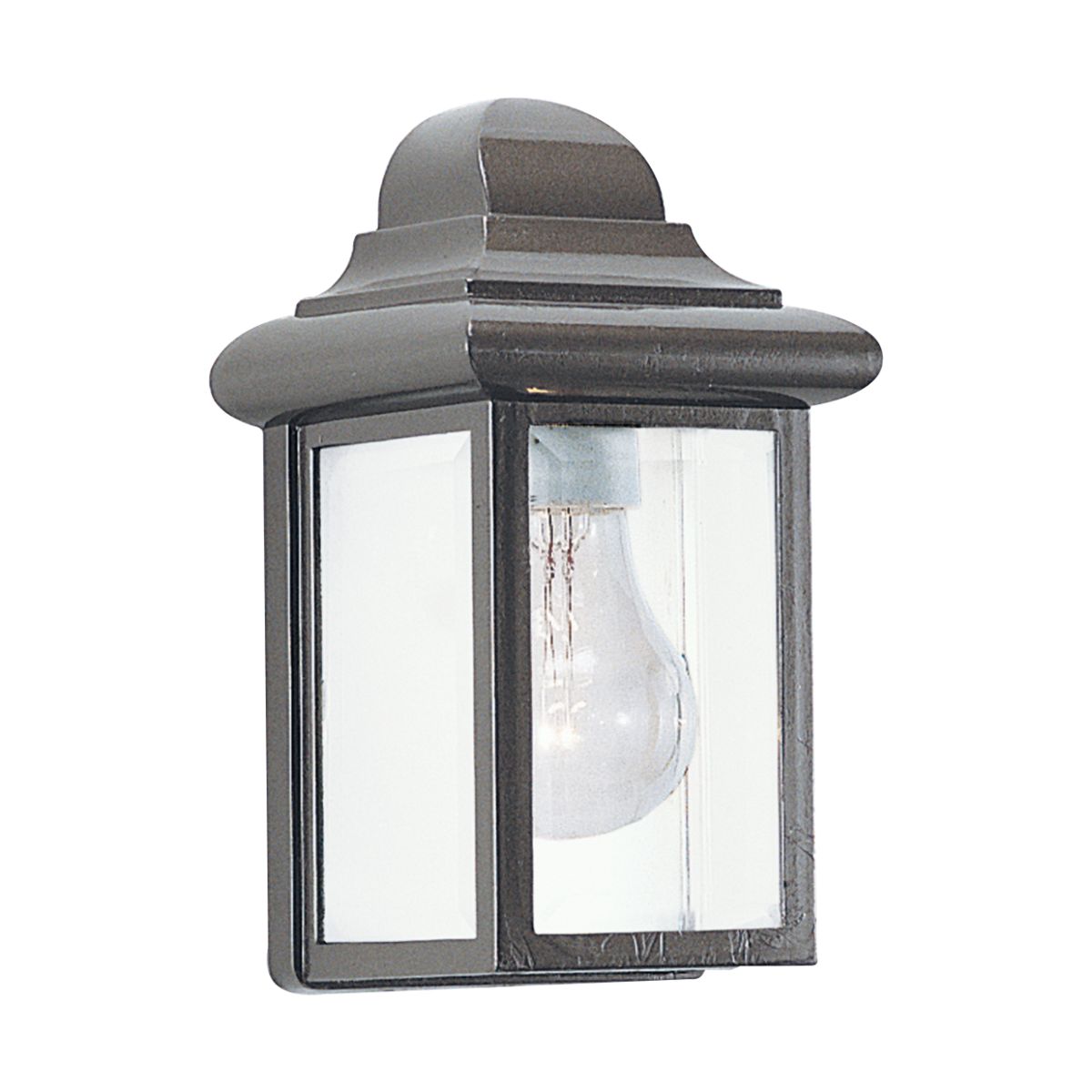 Mullberry Hill 9 In. Outdoor Wall Light Clear Beveled