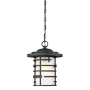 Lansing 17" Hanging Lantern, Textured Black Finish - Bees Lighting