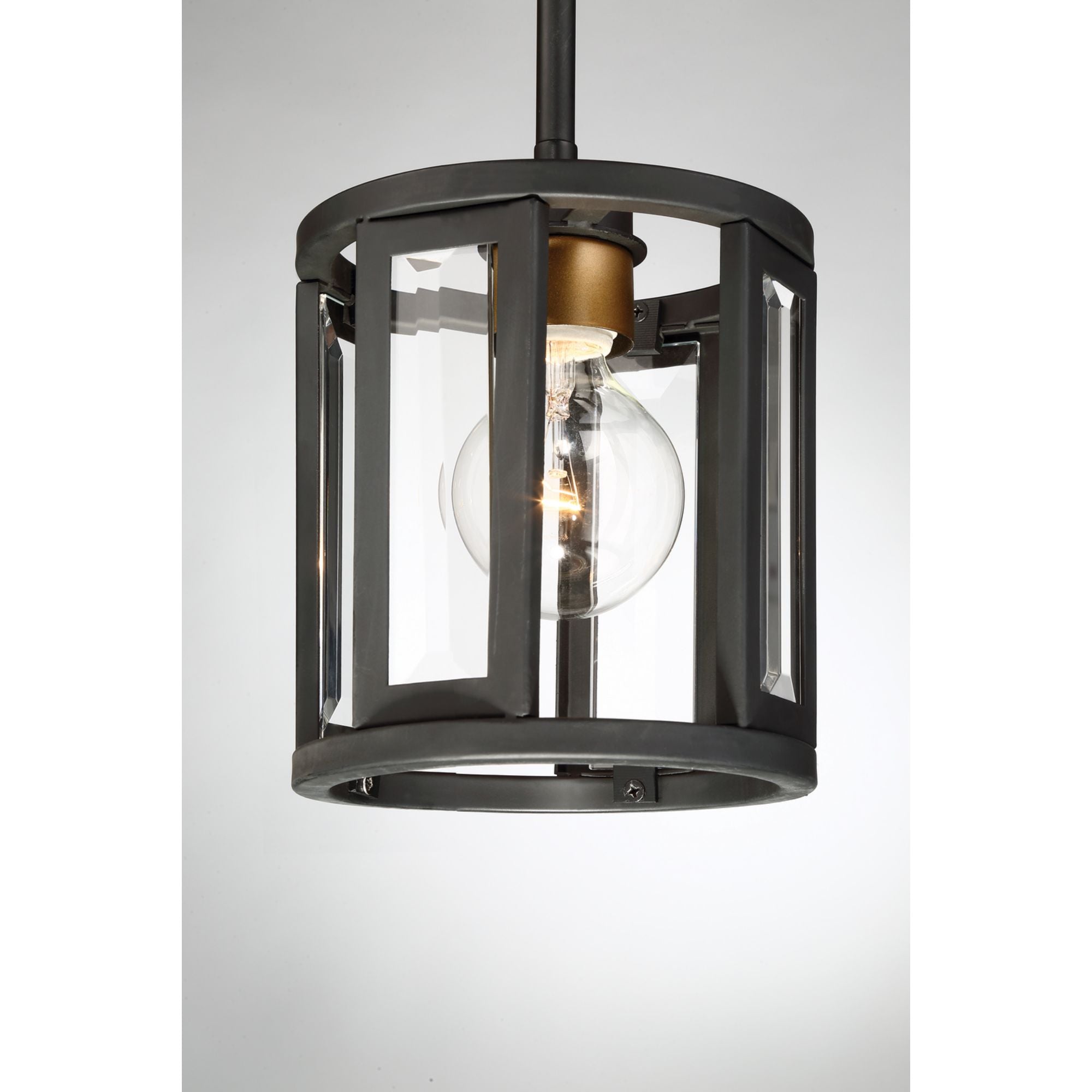 Payne 7" Mini Pendant, Black Finish - Bees Lighting