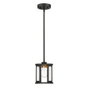 Payne 7" Mini Pendant, Black Finish - Bees Lighting