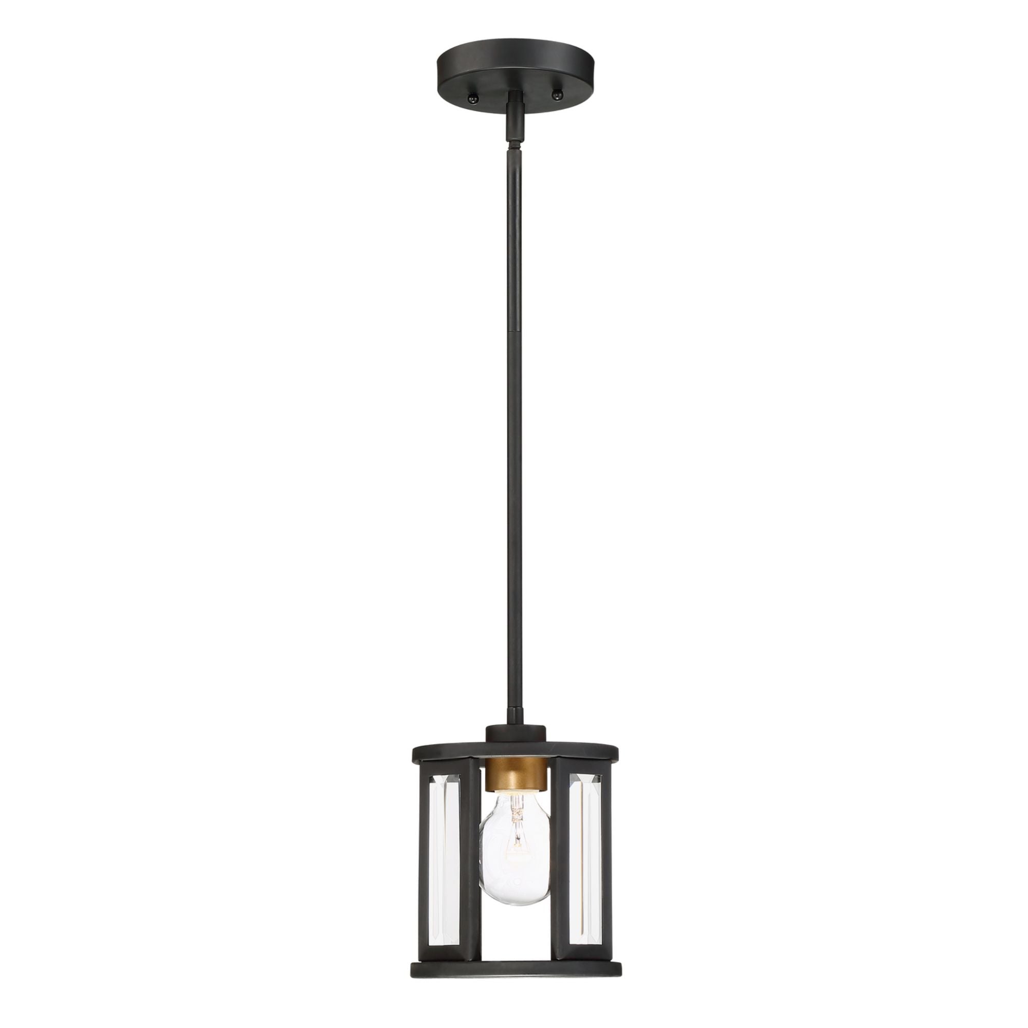 Payne 7" Mini Pendant, Black Finish - Bees Lighting