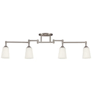 Track Lighting 48" 4-Light Track Rail Kit, Brushed Nickel Finish - Bees Lighting