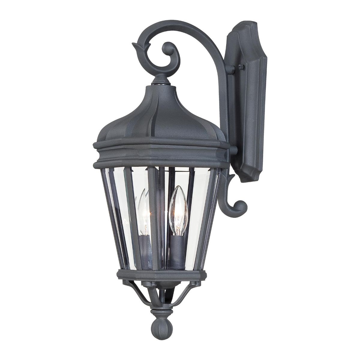 Harrison 28 in. 2 Lights Outdoor Wall Lantern Black Finish - Bees Lighting