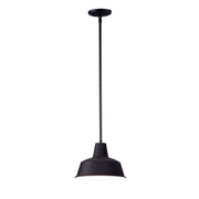 Pier M 10" Outdoor Pendant, Black Finish - Bees Lighting