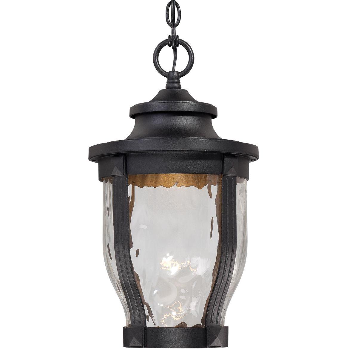 Merrimack 10 in. LED Outdoor Hanging Lantern Black finish - Bees Lighting