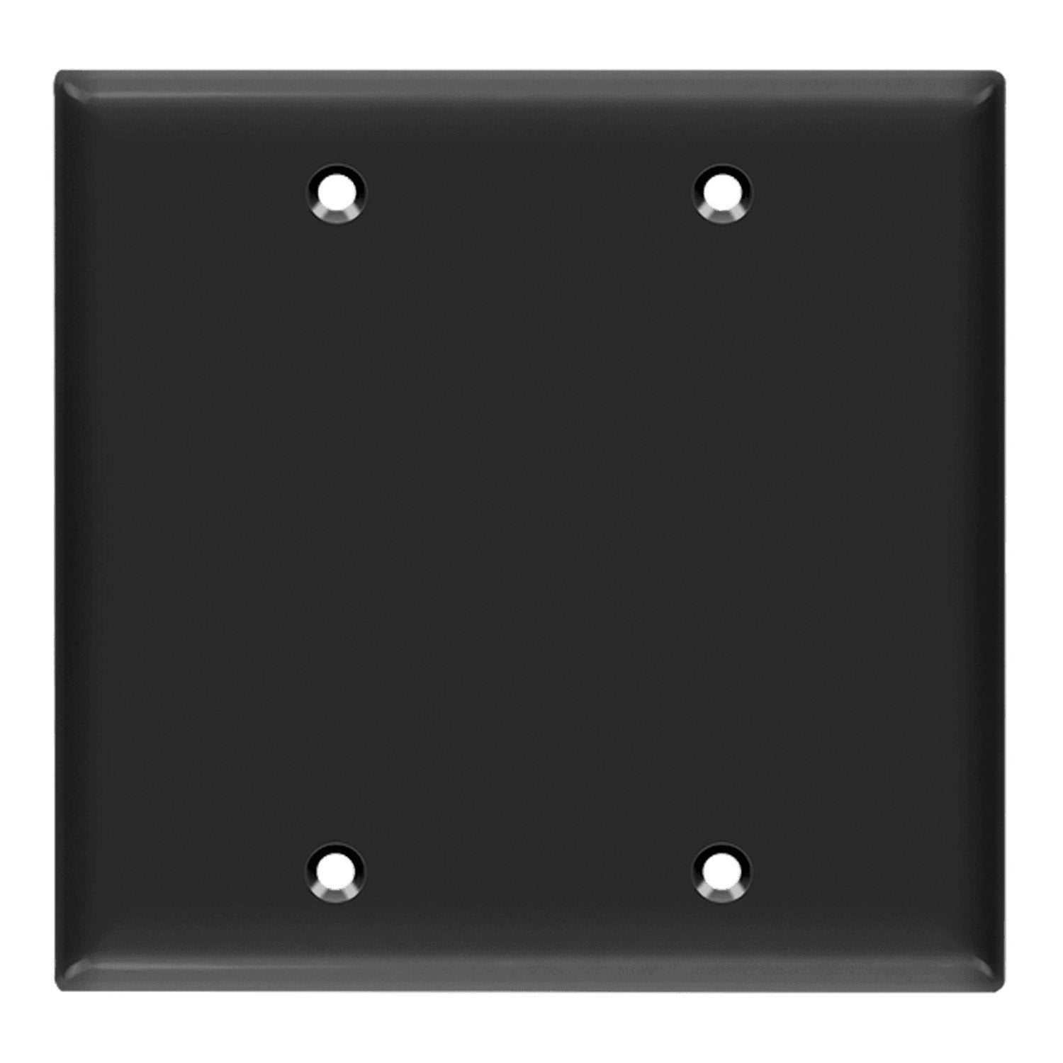 2-Gang Blank Wall Plate, Black - Bees Lighting