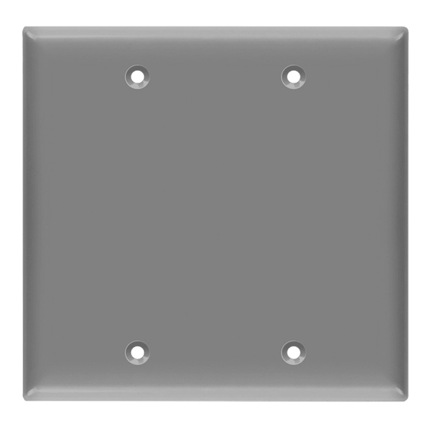 2-Gang Blank Wall Plate, Gray - Bees Lighting