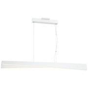 So Inclined LED Pendant Light - Bees Lighting