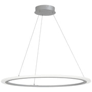 Discovery 31" LED Pendant, Silver Finish - Bees Lighting